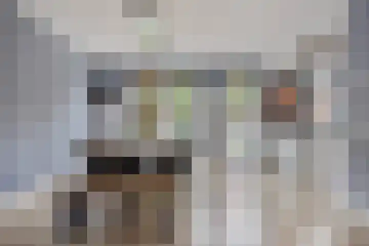 Zadelmaker 6 Oldenzaal thumbnail 11