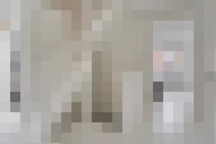 Zadelmaker 6 Oldenzaal thumbnail 18