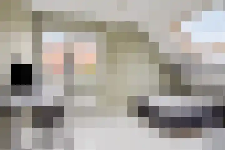 Zadelmaker 6 Oldenzaal thumbnail 24
