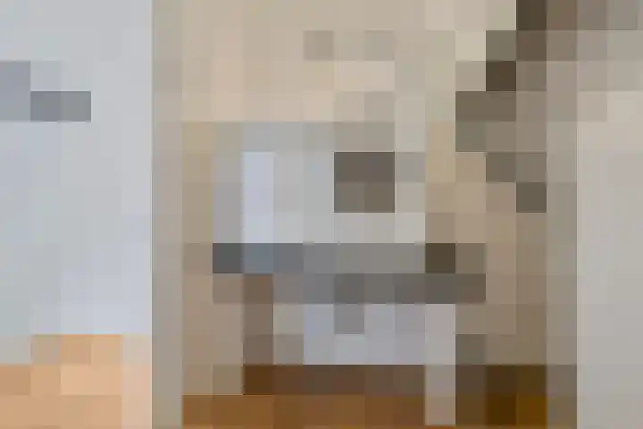 Zadelmaker 6 Oldenzaal thumbnail 33