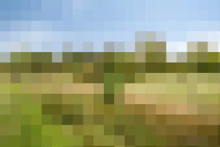 Zadelmaker 6 Oldenzaal thumbnail 41