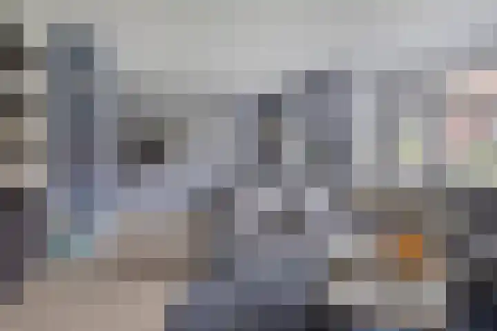 Zadelmaker 6 Oldenzaal thumbnail 5