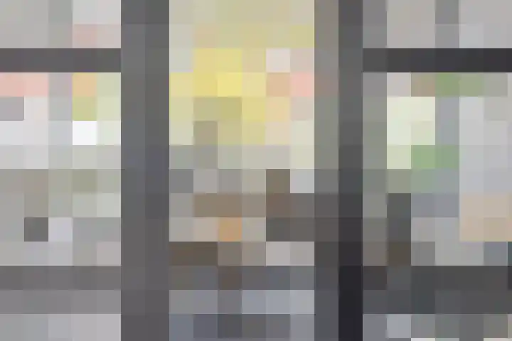 Zadelmaker 6 Oldenzaal thumbnail 8