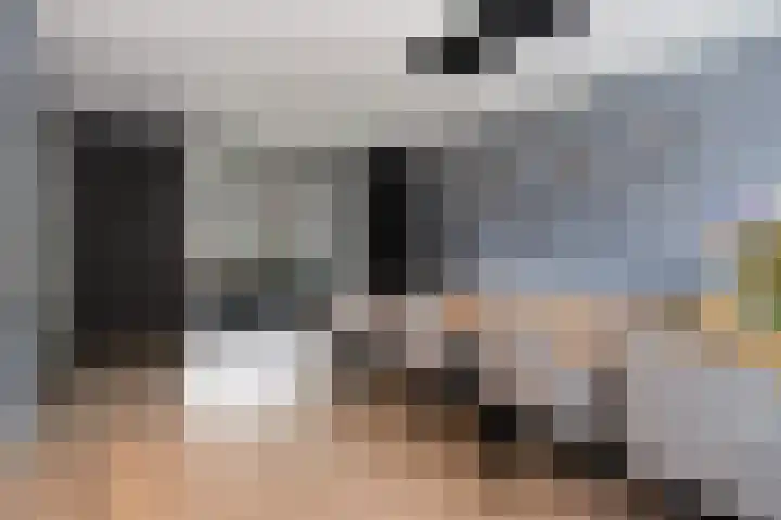 Zadelmaker 6 Oldenzaal thumbnail 9