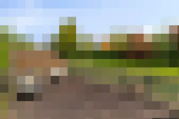 Zadelmakerij 18 Barendrecht thumbnail 27