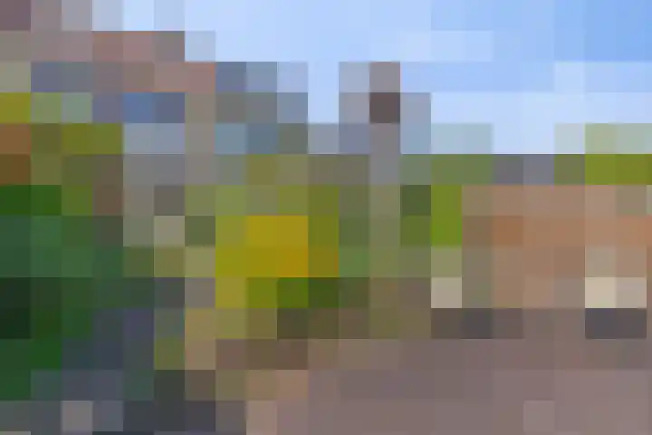 Zadelmakerij 18 Barendrecht thumbnail 28