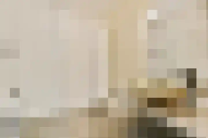 Zadelmakerslaan 130 Haarlem thumbnail 17