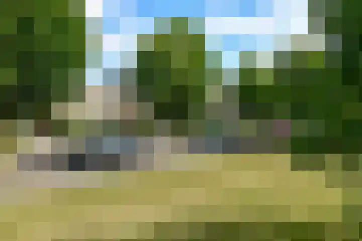 Zadelmakersstraat 23 Elst thumbnail 12