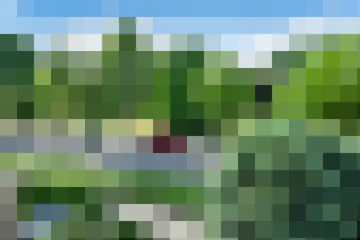 Zadelmakersstraat 23 Elst thumbnail 16