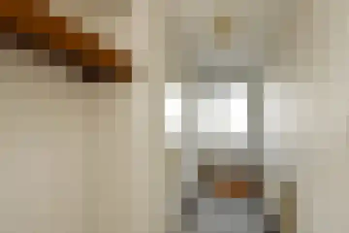 Zadelmakersstraat 23 Elst thumbnail 22