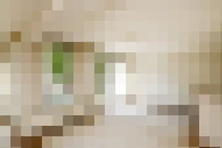 Zadelmakersstraat 23 Elst thumbnail 28