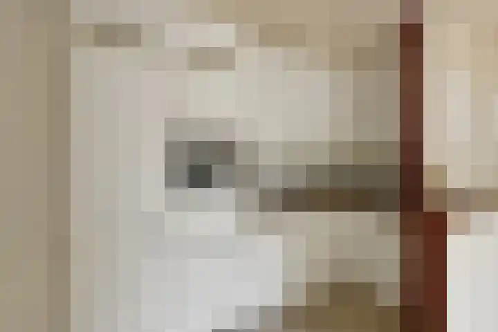 Zadelmakersstraat 23 Elst thumbnail 32