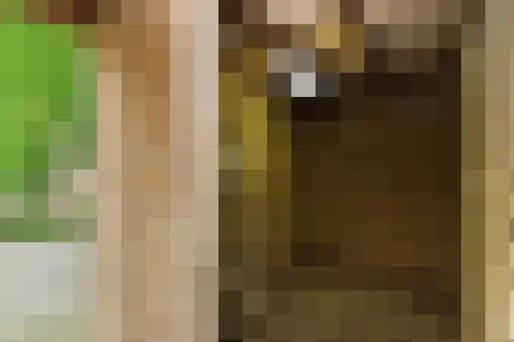Zadelmakersstraat 23 Elst thumbnail 43