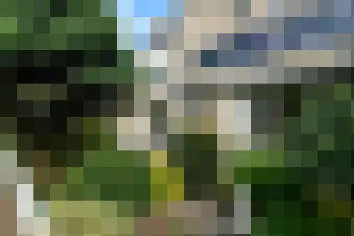 Zadelmakersstraat 23 Elst thumbnail 5