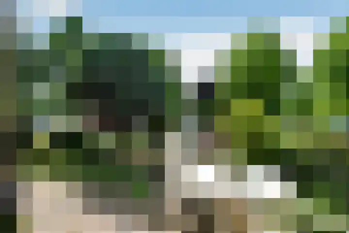 Zadelmakersstraat 23 Elst thumbnail 7