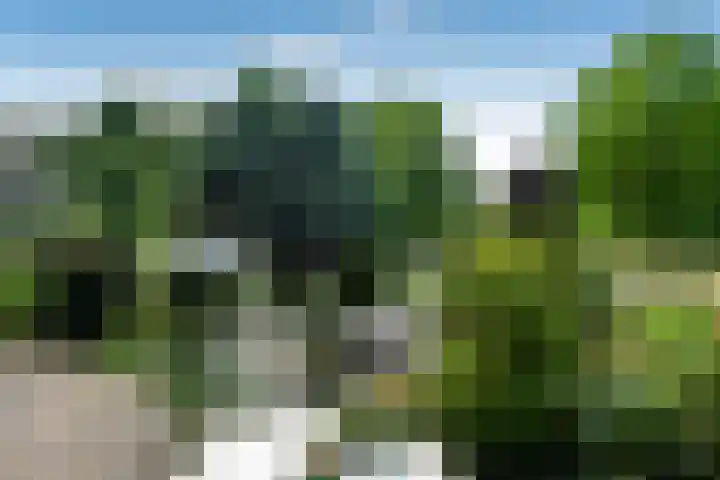 Zadelmakersstraat 23 Elst thumbnail 9