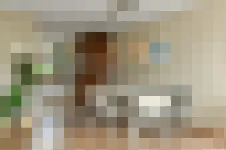 Zadelmakersstraat 53 Elst thumbnail 10