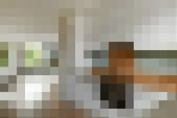 Zadelmakersstraat 53 Elst thumbnail 15