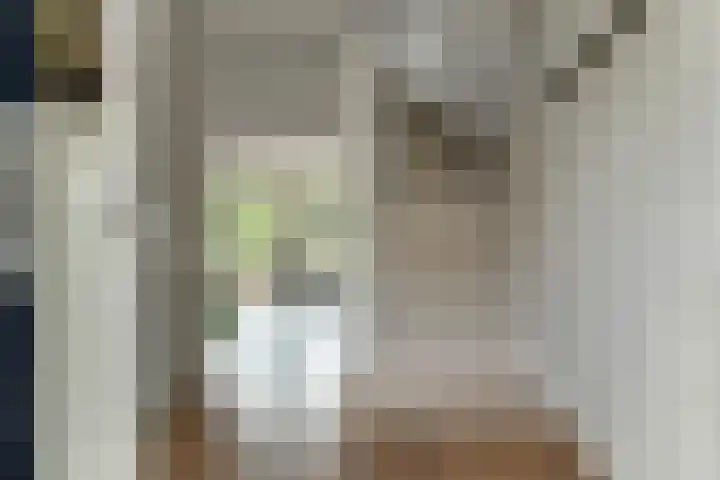 Zadelmakersstraat 53 Elst thumbnail 17