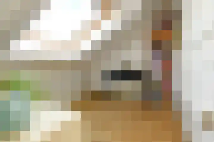 Zadelmakersstraat 53 Elst thumbnail 30