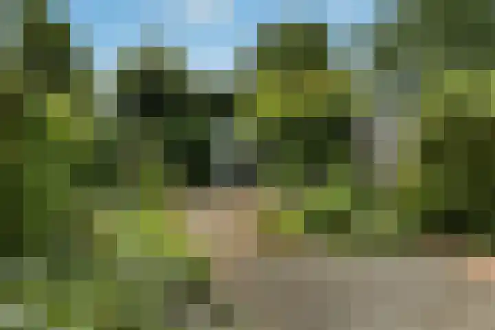 Zadelmakersstraat 53 Elst thumbnail 34
