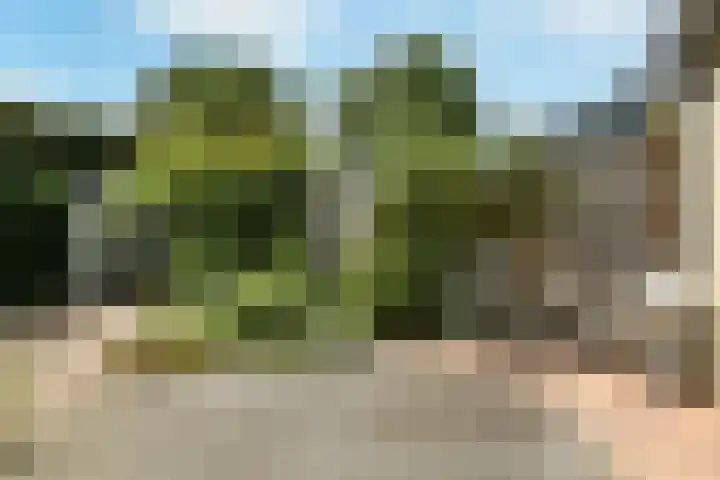 Zadelmakersstraat 53 Elst thumbnail 35