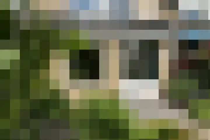 Zadelmakersstraat 53 Elst thumbnail 36