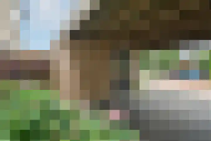Zadelmakersstraat 53 Elst thumbnail 38