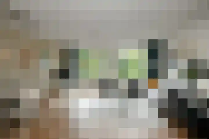 Zadelmakersstraat 53 Elst thumbnail 4