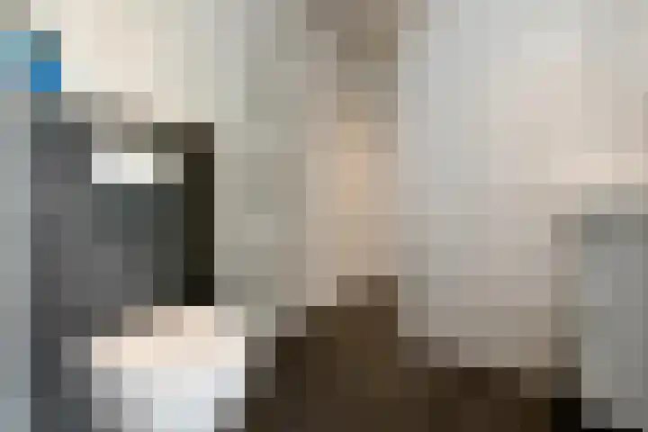 Zadelmakersstraat 53 Elst thumbnail 6
