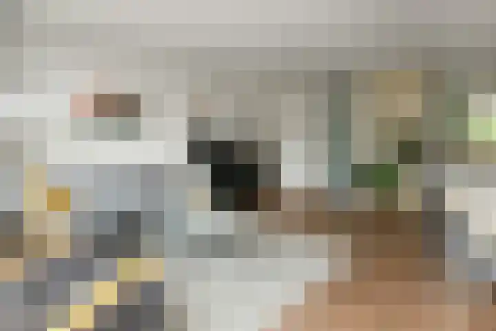 Zadelmakersstraat 53 Elst thumbnail 8