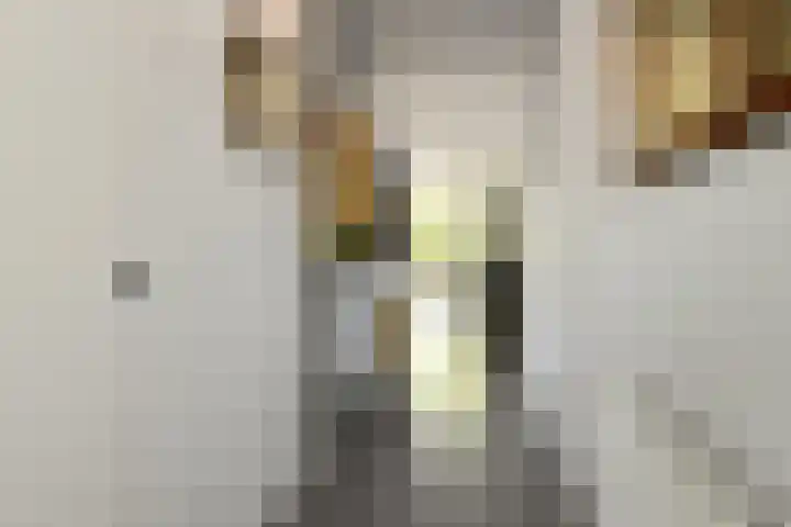 Zadelmakersstraat 7 Elst thumbnail 10