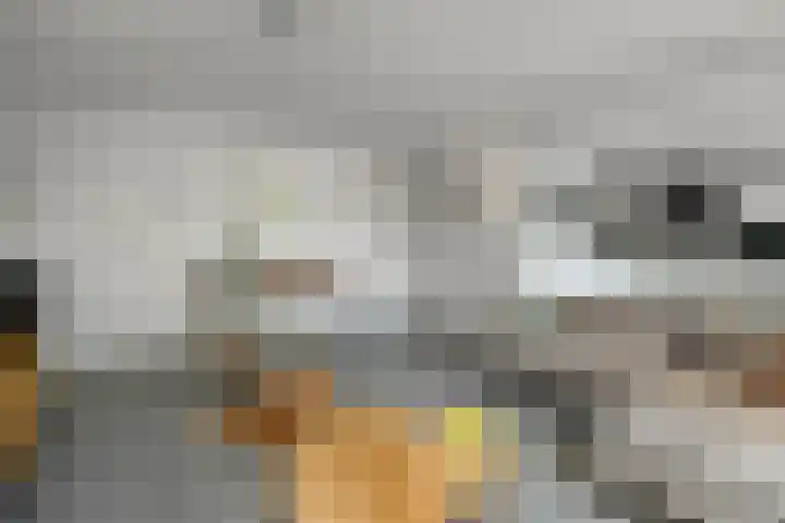 Zadelmakersstraat 7 Elst thumbnail 13