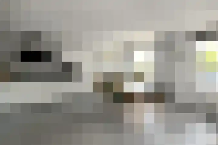 Zadelmakersstraat 7 Elst thumbnail 17