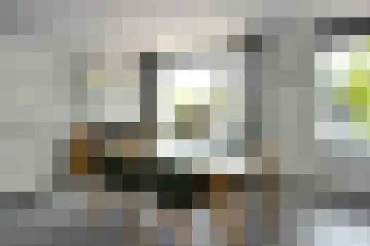 Zadelmakersstraat 7 Elst thumbnail 18