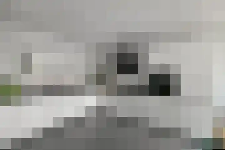 Zadelmakersstraat 7 Elst thumbnail 21