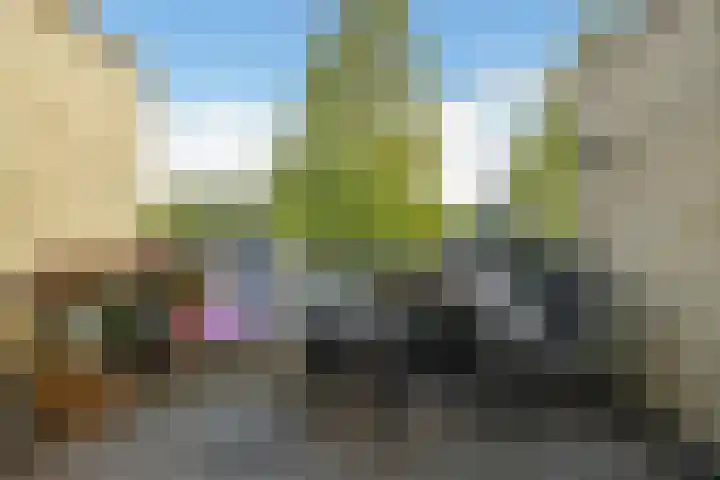 Zadelmakersstraat 7 Elst thumbnail 24