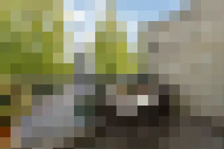 Zadelmakersstraat 7 Elst thumbnail 25