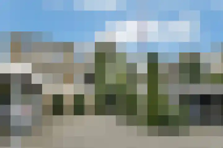 Zadelmakersstraat 7 Elst thumbnail 5