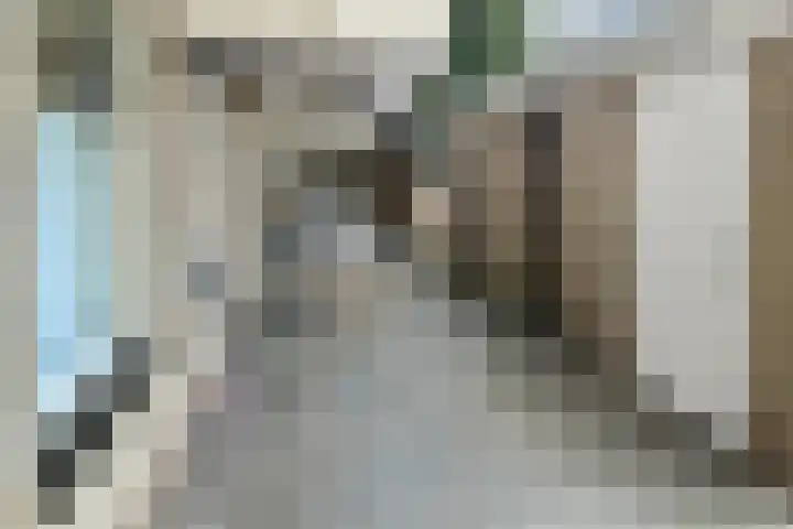 Zadelmakersstraat 7 Elst thumbnail 6