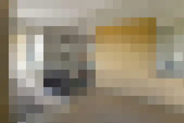Zadelmakersstraat 7 Elst thumbnail 8