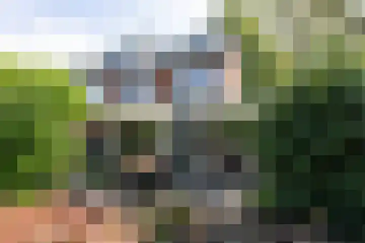 Zadelmakerstraat 68 Duiven thumbnail 4