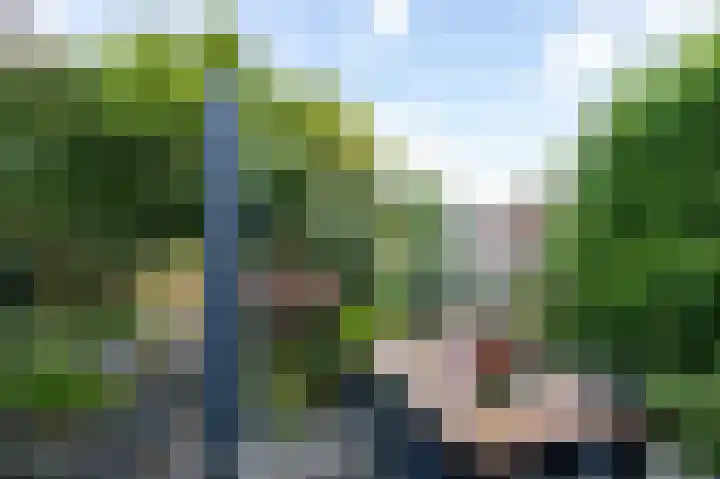 Zadelmakerstraat 68 Duiven thumbnail 45