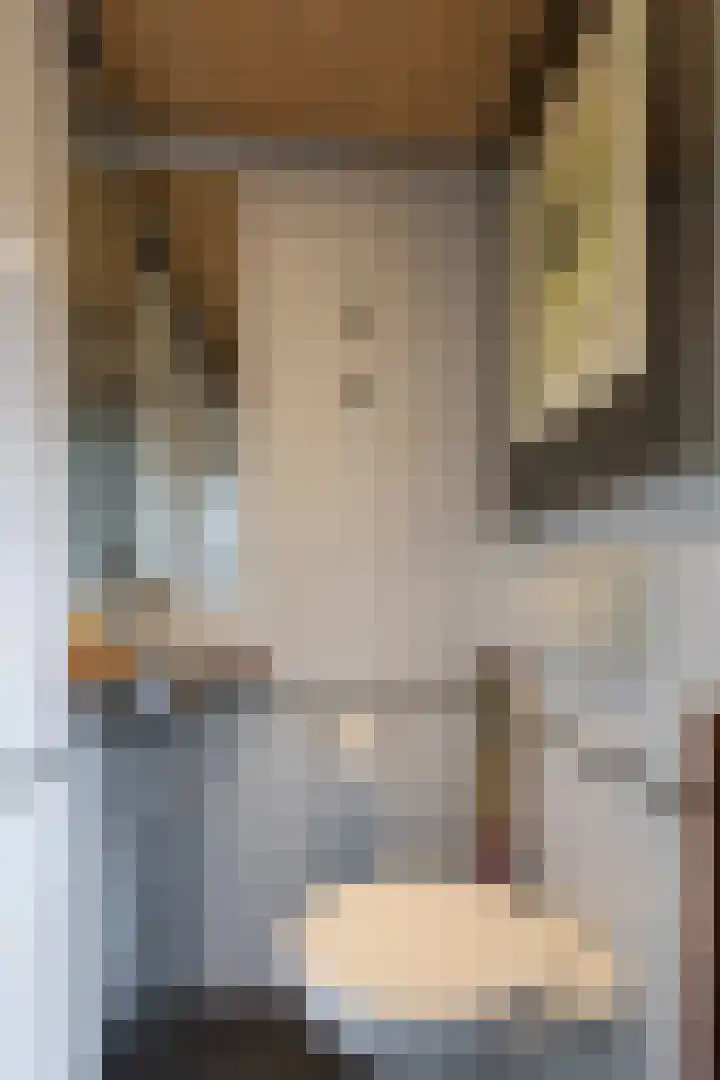 Zadelmakerstraat 68 Duiven thumbnail 9