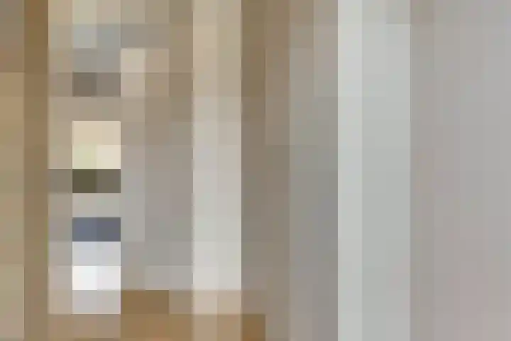 Zadelmakerstraat 71 Duiven thumbnail 14