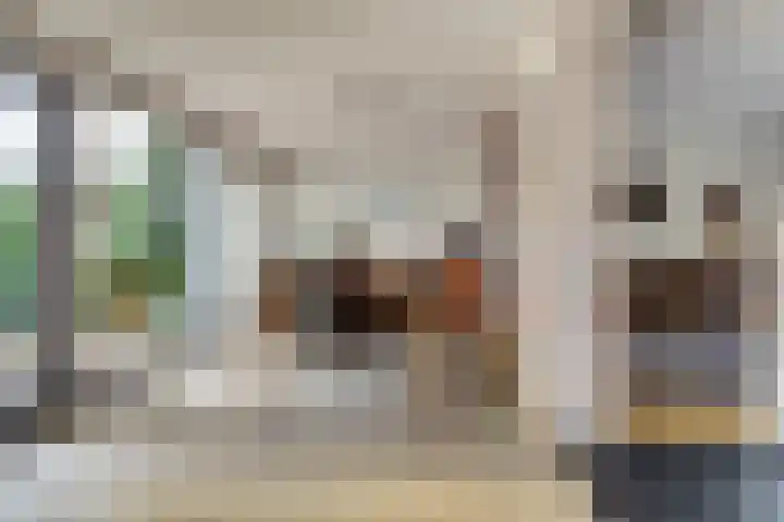 Zadelmakerstraat 71 Duiven thumbnail 25