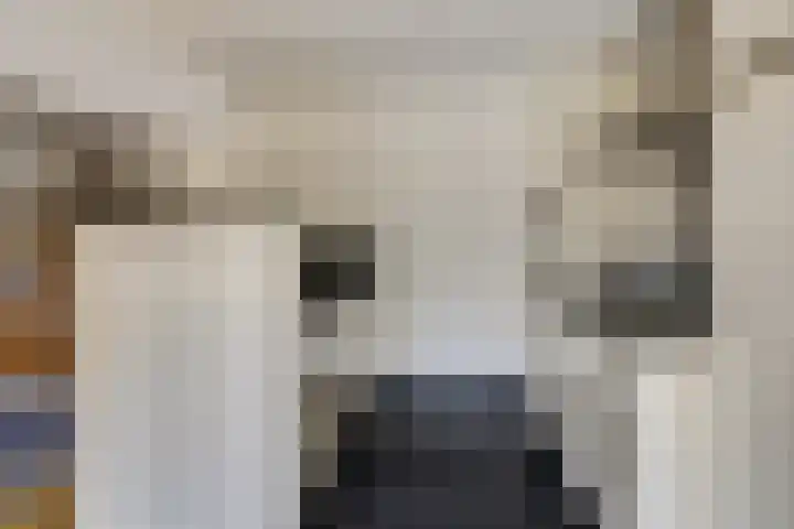 Zadelmakerstraat 71 Duiven thumbnail 27