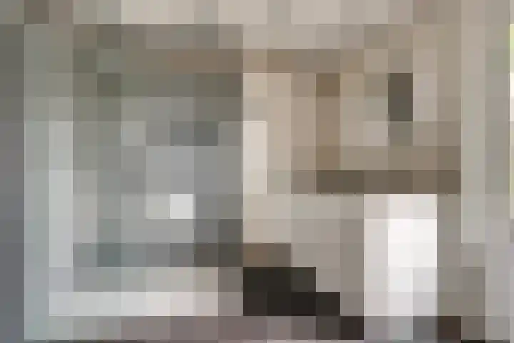 Zadelmakerstraat 71 Duiven thumbnail 32