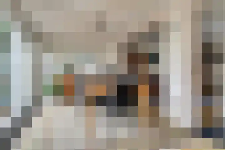 Zadelmakerstraat 71 Duiven thumbnail 35