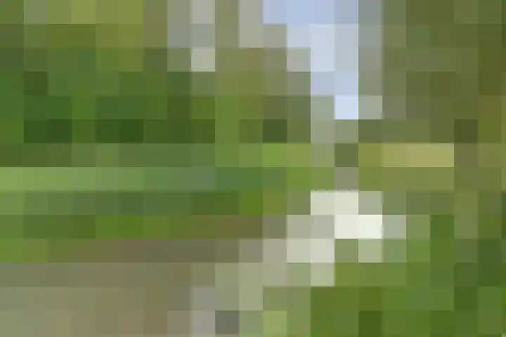 Zadelmakerstraat 71 Duiven thumbnail 4